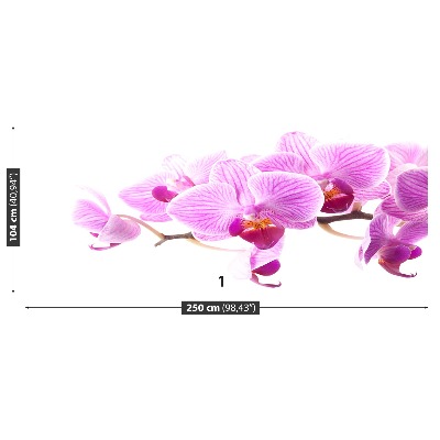 Zelfklevend fotobehang Roze orchidee