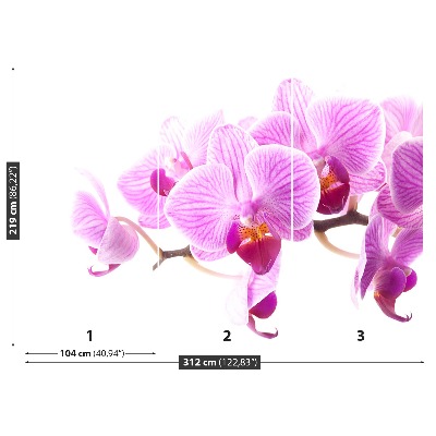 Zelfklevend fotobehang Roze orchidee