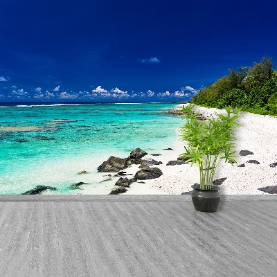 Fotobehang Strand wit zand