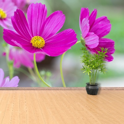 Zelfklevend fotobehang Kosmos-bloemen