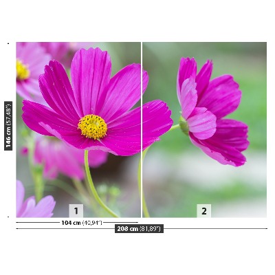 Zelfklevend fotobehang Kosmos-bloemen