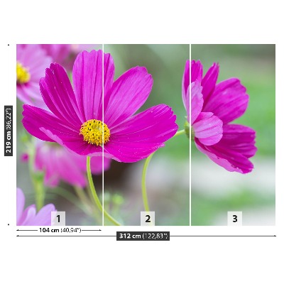 Zelfklevend fotobehang Kosmos-bloemen