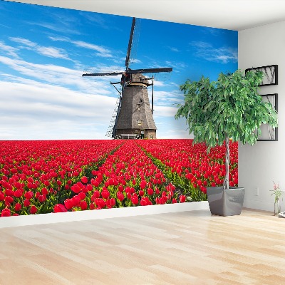 Fotobehang Tulpen windmolen