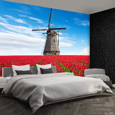 Fotobehang Tulpen windmolen