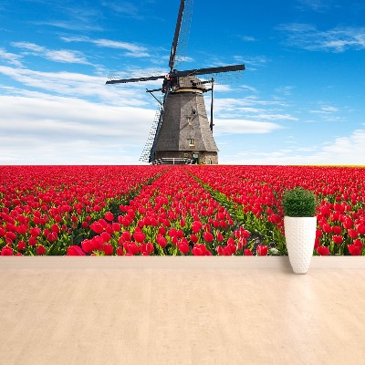 Fotobehang Tulpen windmolen