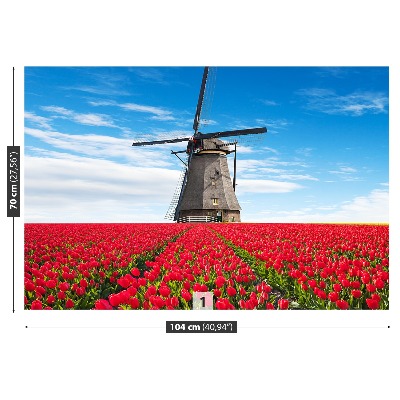 Fotobehang Tulpen windmolen