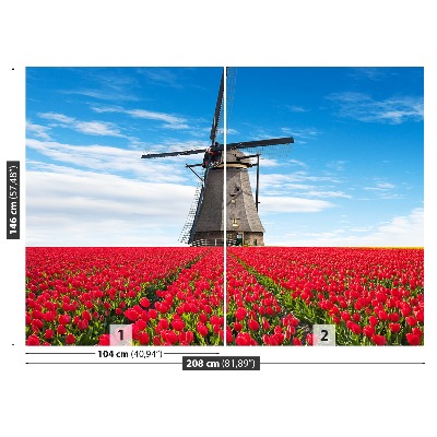 Fotobehang Tulpen windmolen