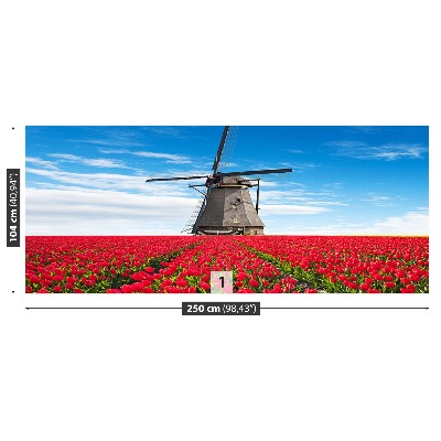 Fotobehang Tulpen windmolen