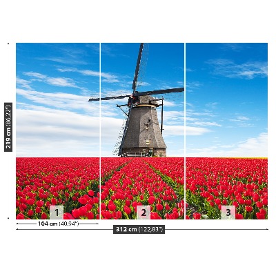 Fotobehang Tulpen windmolen