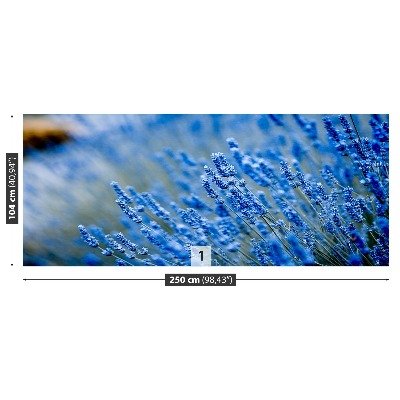 Zelfklevend fotobehang Lavendelblauw