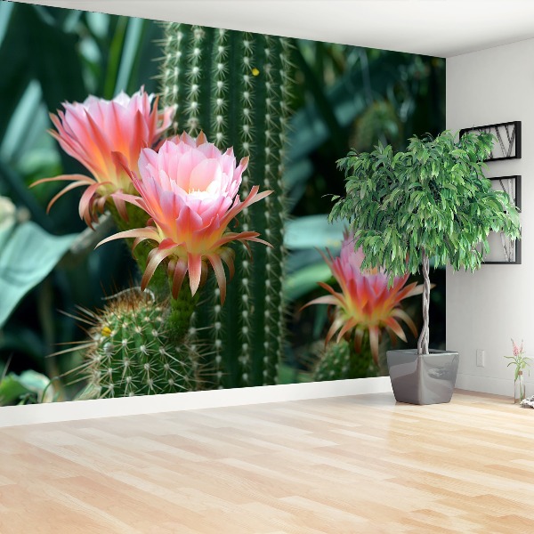 Zelfklevend fotobehang Cactusbloem