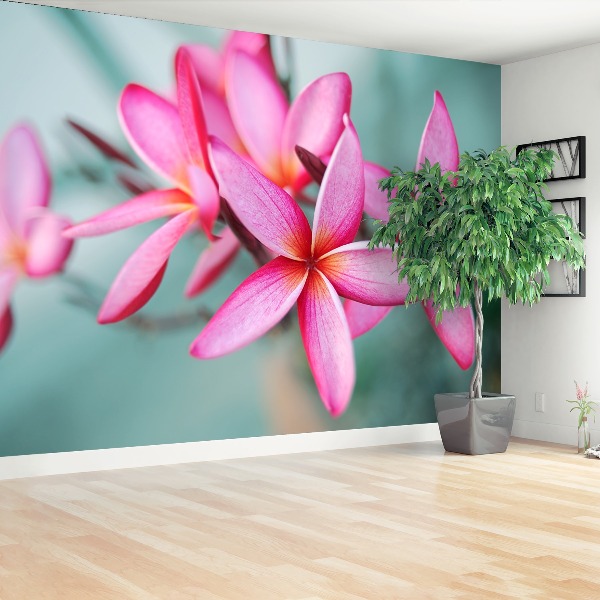 Zelfklevend fotobehang Plumeria pink