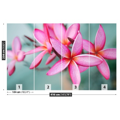 Zelfklevend fotobehang Plumeria pink