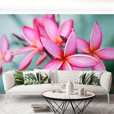 Zelfklevend fotobehang Plumeria pink