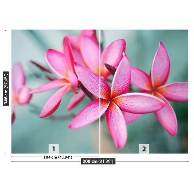 Zelfklevend fotobehang Plumeria pink