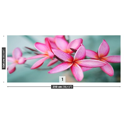 Zelfklevend fotobehang Plumeria pink