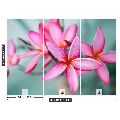 Zelfklevend fotobehang Plumeria pink