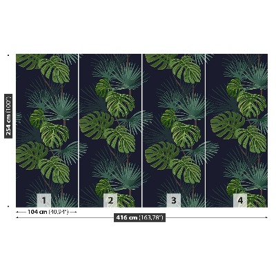 Fotobehang Monstera dziurawa