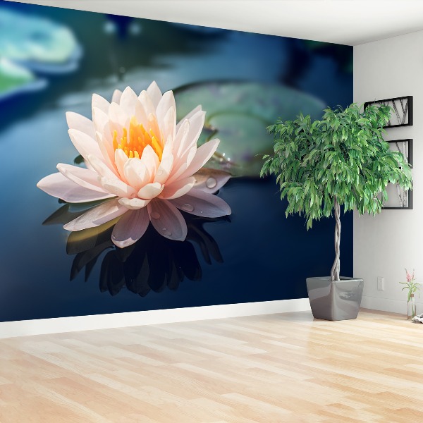 Zelfklevend fotobehang Lotus flower pond