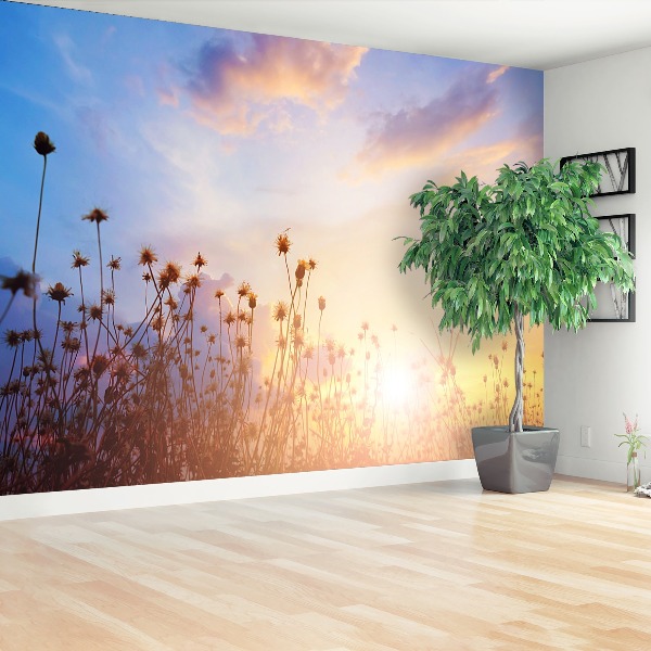 Fotobehang Weide bloemen