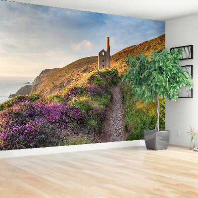 Fotobehang Cornwall coast