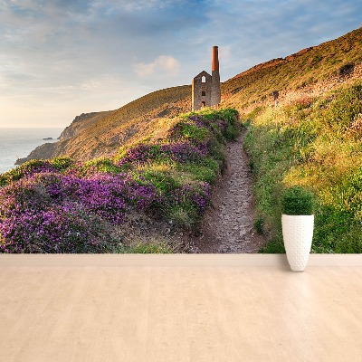 Fotobehang Cornwall coast