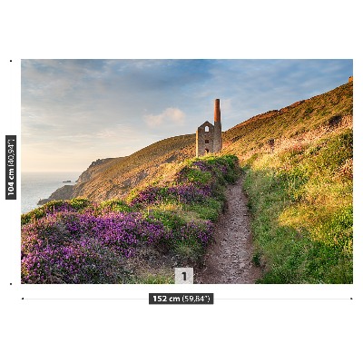 Fotobehang Cornwall coast