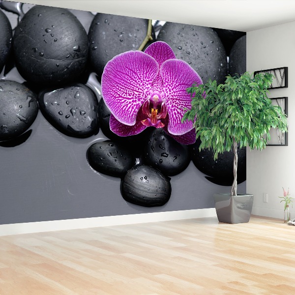 Zelfklevend fotobehang Orchideeënstenen