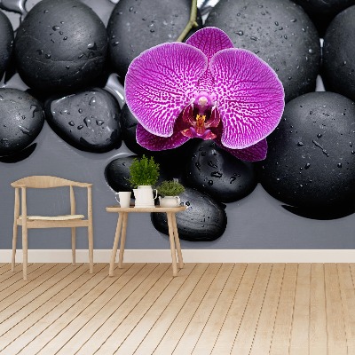 Zelfklevend fotobehang Orchideeënstenen