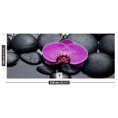 Zelfklevend fotobehang Orchideeënstenen