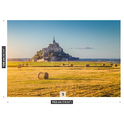 Fotobehang Le mont saintmichel