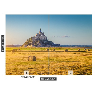 Fotobehang Le mont saintmichel