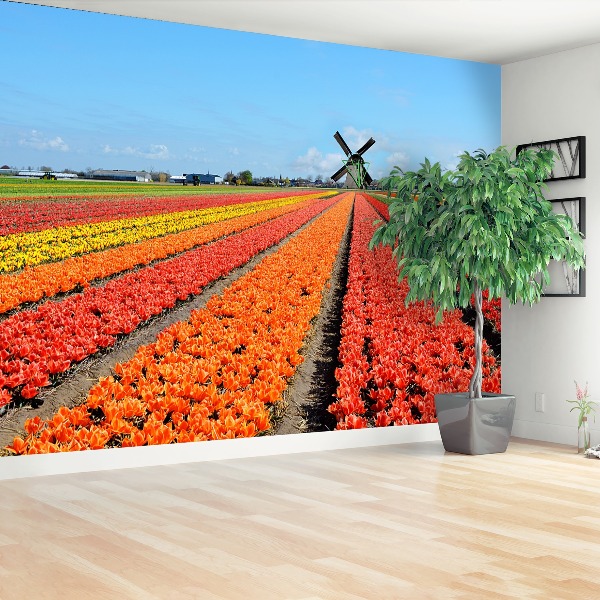 Fotobehang Windmolen tulpen