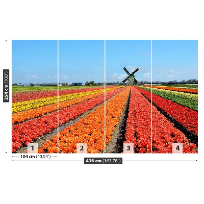 Fotobehang Windmolen tulpen