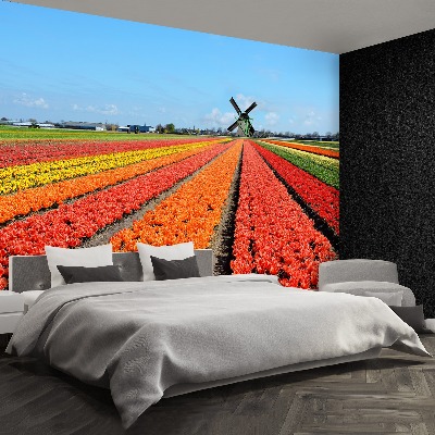 Fotobehang Windmolen tulpen