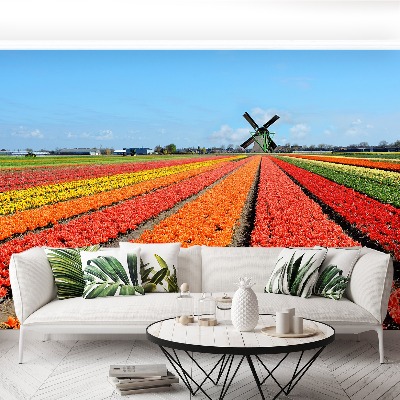 Fotobehang Windmolen tulpen