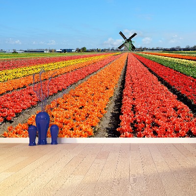 Fotobehang Windmolen tulpen