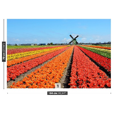 Fotobehang Windmolen tulpen