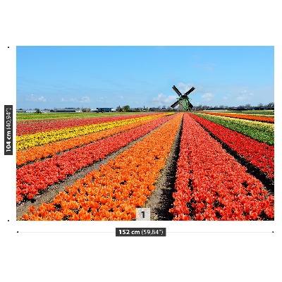 Fotobehang Windmolen tulpen