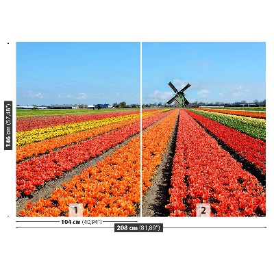 Fotobehang Windmolen tulpen