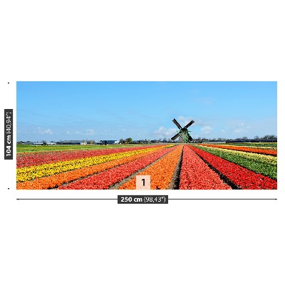 Fotobehang Windmolen tulpen