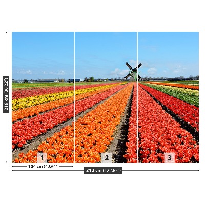 Fotobehang Windmolen tulpen