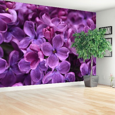 Zelfklevend fotobehang Paarse bloemen