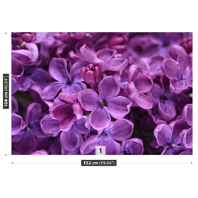 Zelfklevend fotobehang Paarse bloemen