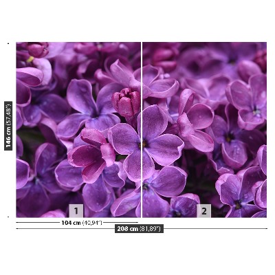 Zelfklevend fotobehang Paarse bloemen