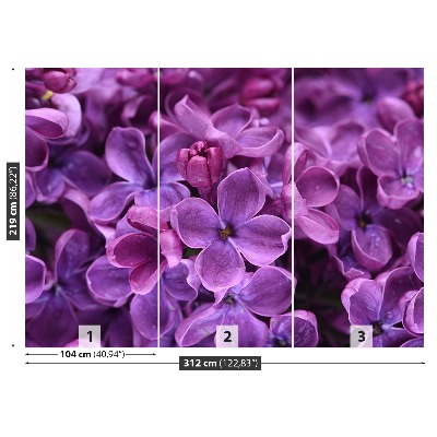 Zelfklevend fotobehang Paarse bloemen