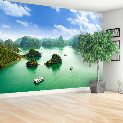 Fotobehang Baai in vietnam