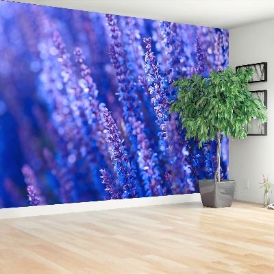 Zelfklevend fotobehang Lavendel bloemen