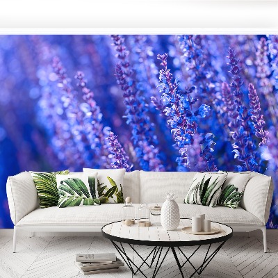 Zelfklevend fotobehang Lavendel bloemen