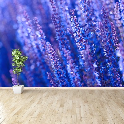 Zelfklevend fotobehang Lavendel bloemen